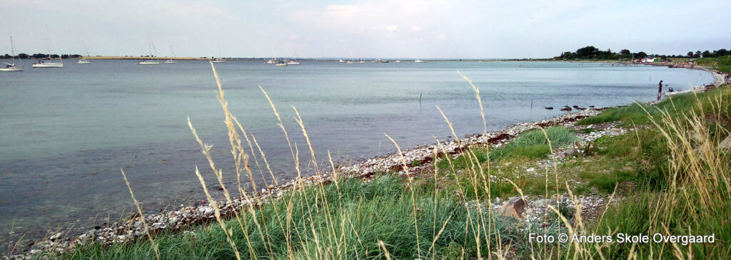 Dejlig ankerplads ved Ærøskøbing.
Meget fin sandbund og godt beskyttet ved alle østlige vinde