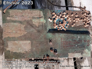 Prøvepladen efter sæson 2023. Bagsiden helt uden rur på Coppercoat.