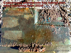 Efter sæson 2024 - prøveplade bagside