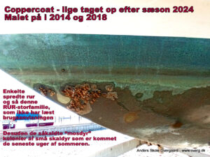 Efter sæson 2024 - Coppercoat med lille samling rur og "mosdyr"