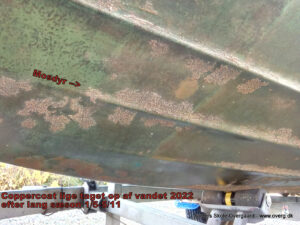 Efter sæson 2022 - Coppercoat lige taget op af vandet, bittesmå rur og "mosdyr"