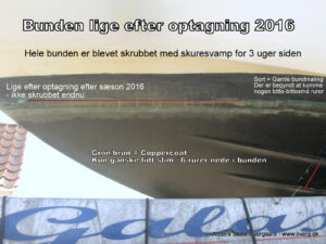 Coppercoat prøveareal 2016