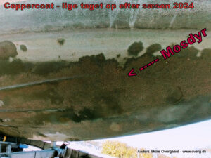 Efter sæson 2024 - Coppercoat med "mosdyr"
