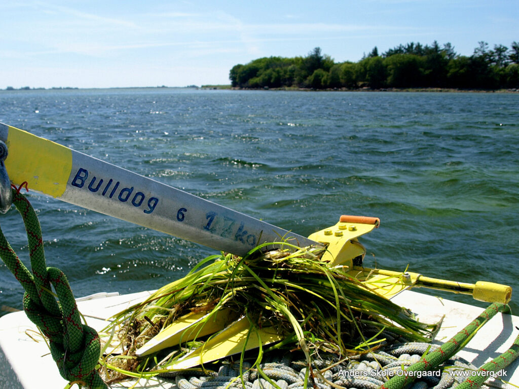 Bulldog 6 med hjemmelavede "Mud-Palms"