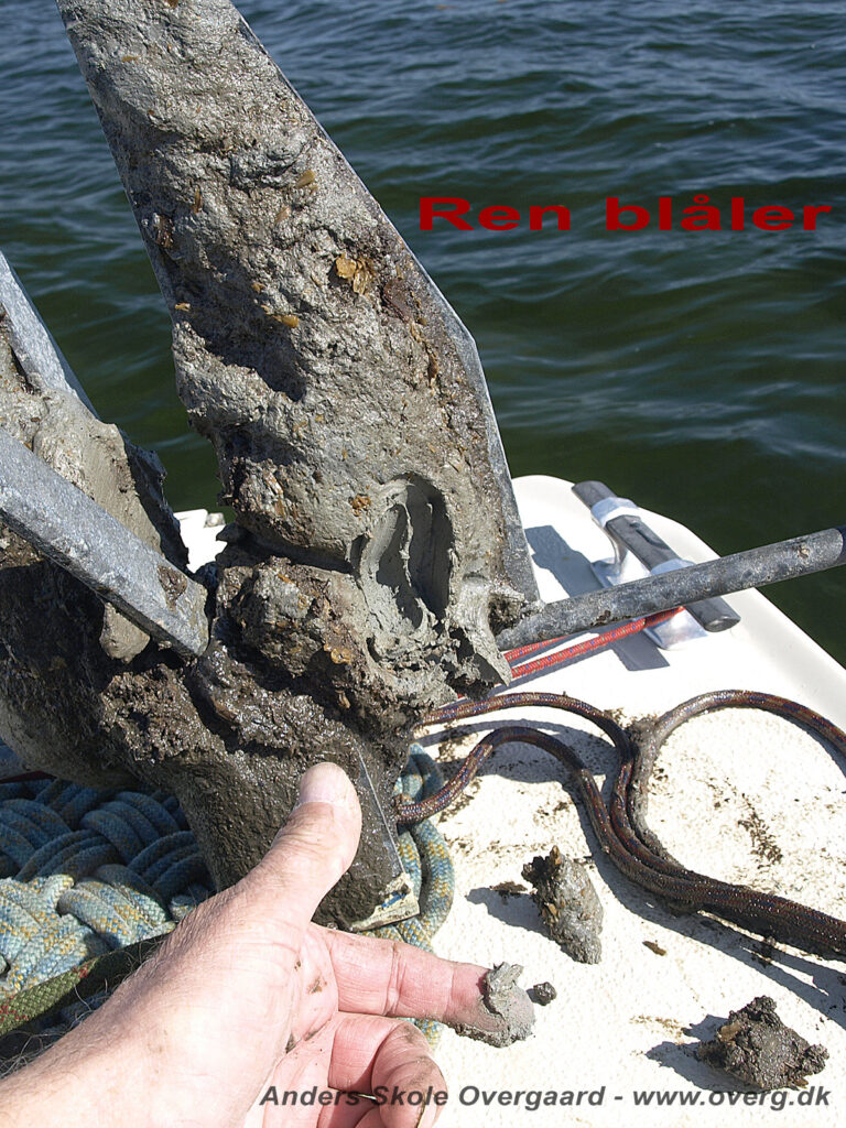 Bundprøve - ren blåler