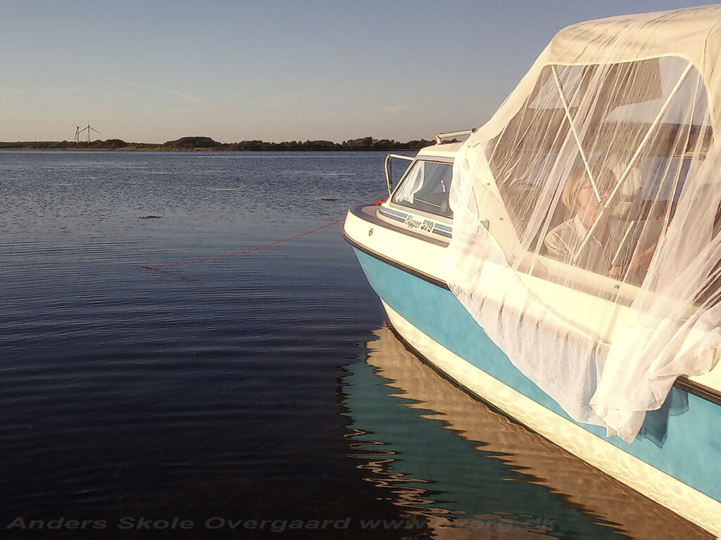 Myggenettet ligger bare hen over kalechen