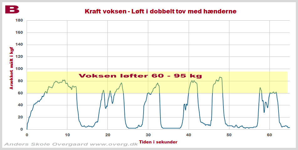 Hvor meget kan en voksen løfte - graf for en løfte-test med LineScale 3