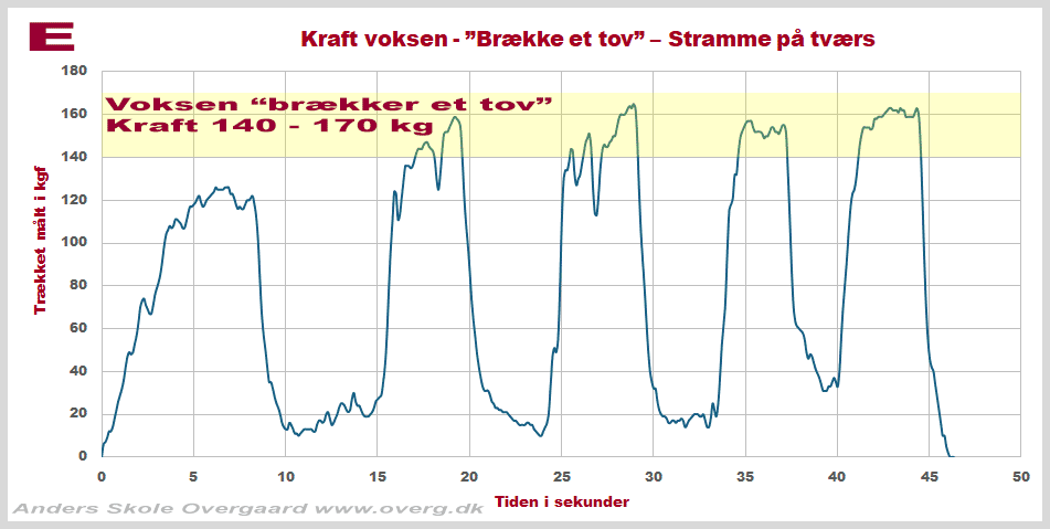 Hvor meget kraft kommer der, når en voksen "brækker" et tov