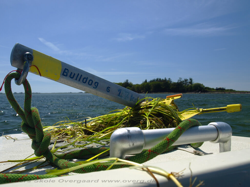 Ankertest Bulldog 6 - 1,6 kg - meget stor holdeevne dette sand.