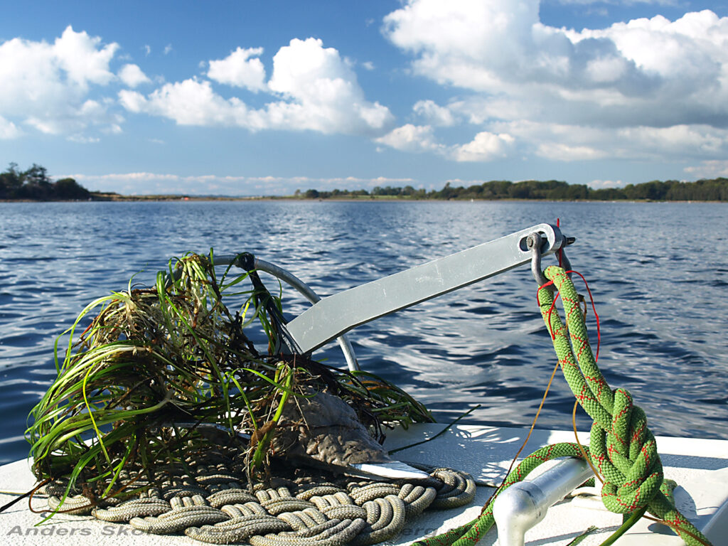 Viking 5 anker - 3,4 kg - Ankertest i sandbund