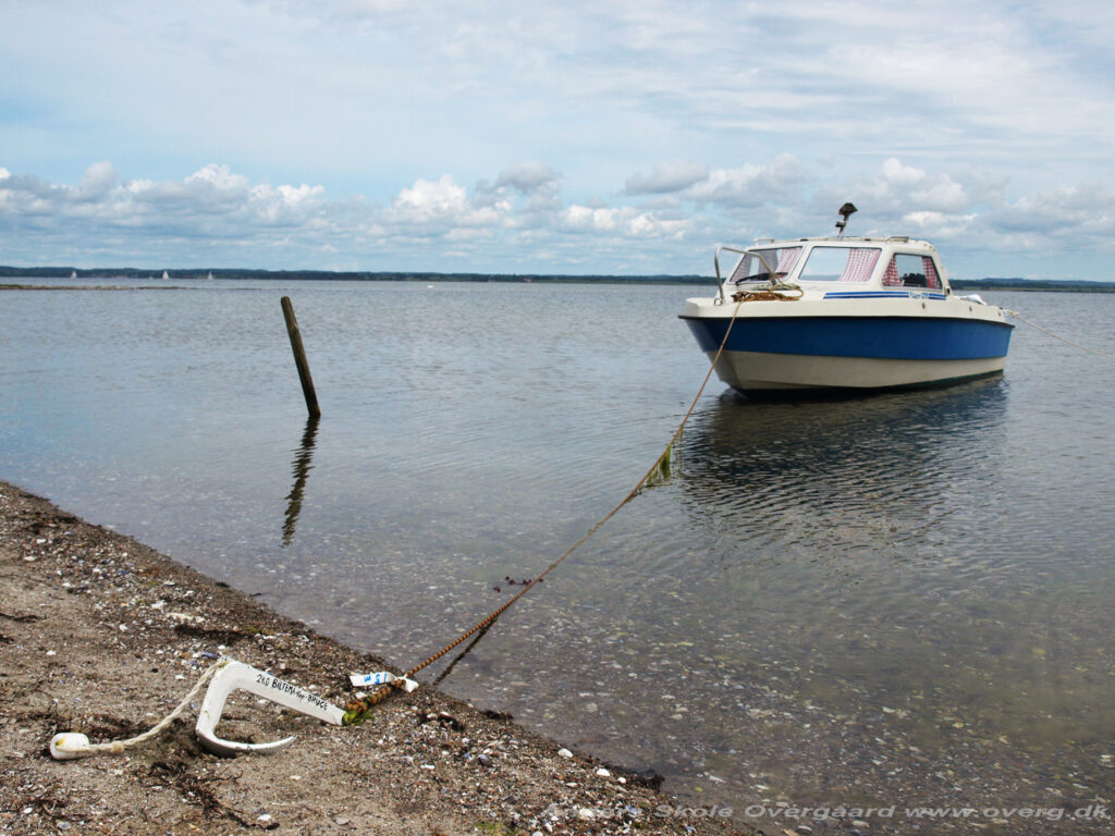 Varp-anker BRUCE kopianker 2 kg fungerer godt til vores størrelse båd. Vi kalder det "Babyankeret"